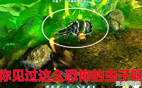方舟生存进化，摆脱吸血虫纠缠的实战攻略与技巧揭秘