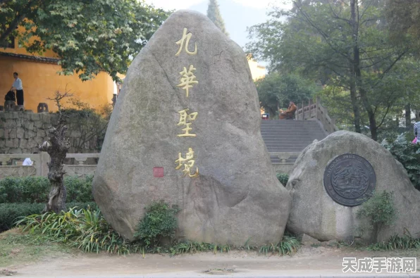 CF手游摘星卡全攻略，高效获取与实战技巧揭秘，助你登顶荣耀之巅