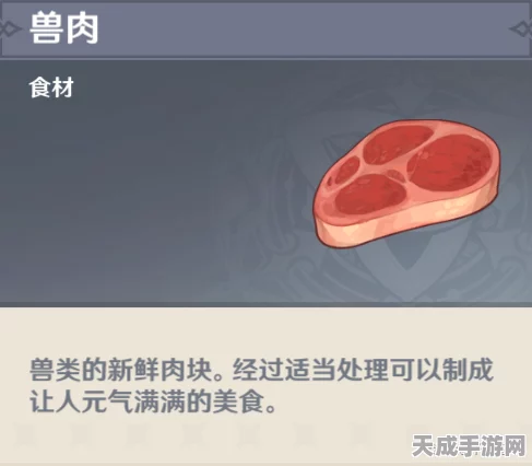 原神兽肉速刷攻略，揭秘高效采集点与技巧