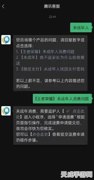 王者荣耀未成年充值退款全解析，金额、流程及最新政策