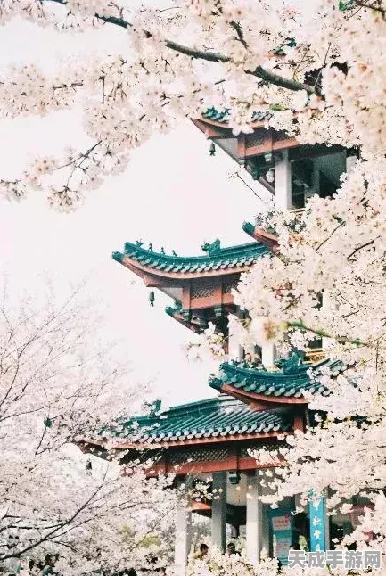 烟雨江湖画卷之谜，解锁主线任务的全面攻略