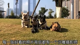 洛克王国，雪精灵捕捉绝技揭秘，独家攻略助你轻松捕获稀有宠物
