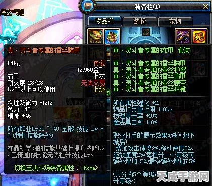 DNF深度剖析，细数那些未拥有45级招牌技能的角色，玩法差异揭秘！