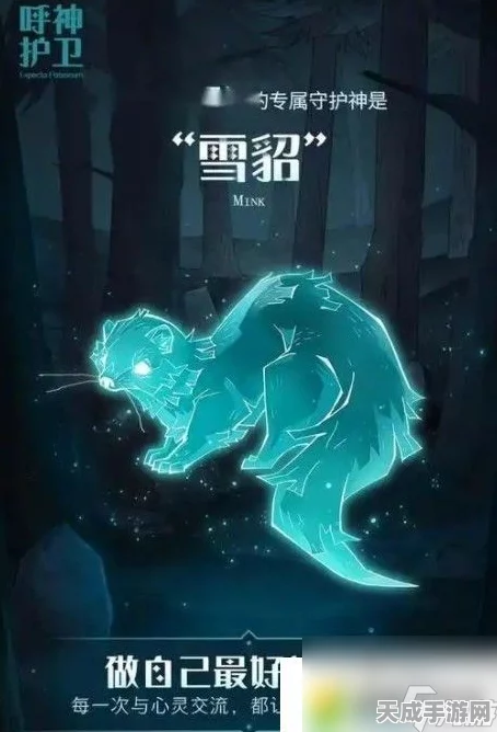 哈利波特魔法觉醒，揭秘守护神获取秘籍，打造专属魔法伙伴