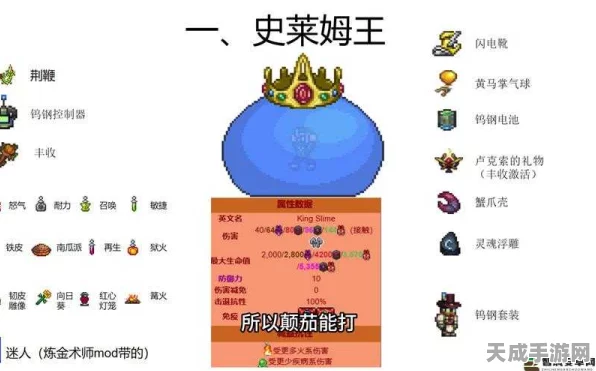 泰拉瑞亚攻略揭秘，解锁冷酷史莱姆的独家秘籍