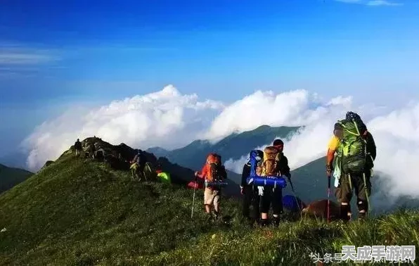 王者荣耀战队活跃点全攻略，揭秘高效累积三大秘籍，助力战队荣耀登顶