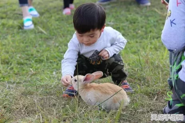 PS vs PC，怪物猎人终极狩猎盛宴，平台对决谁主沉浮？