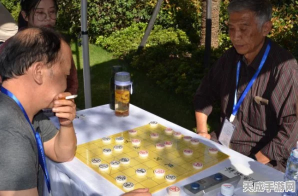 楚河汉界象棋大赛，重温历史棋局，争夺智谋巅峰