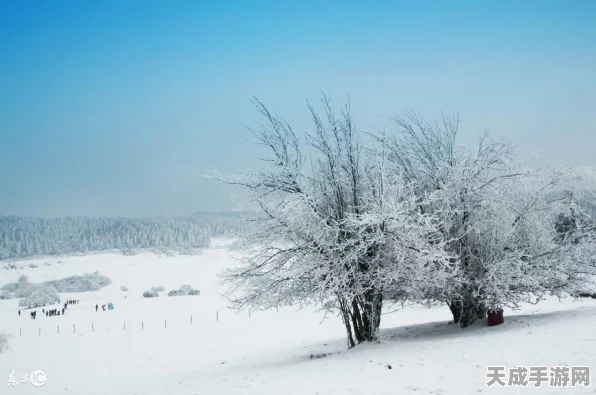 奇迹暖暖神秘电台风雪挑战，解锁风雪之路搭配秘籍