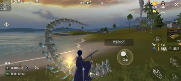 孤独探索者征途，妄想山海间，奇幻之旅的壮阔冒险赛