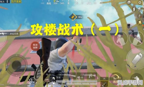 和平精英十杀攻略，解锁进阶技巧，收获惊喜战绩
