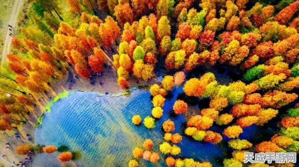 花果山探秘，梦回西游猴王领地征服全攻略