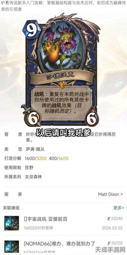 炉石传说新手进阶秘籍，从菜鸟到高手的蜕变之路，详解赛事与战术布局