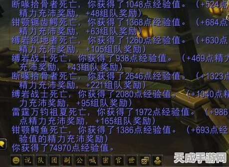 魔兽世界怀旧服，揭秘过往冒险回忆任务提交地点与精彩细节