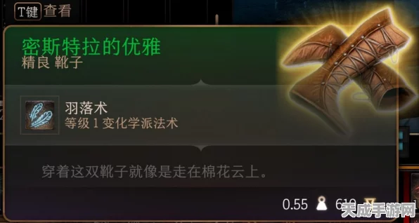 博德之门3，揭秘丢失的靴子任务全攻略，助你轻松解锁隐藏宝藏！