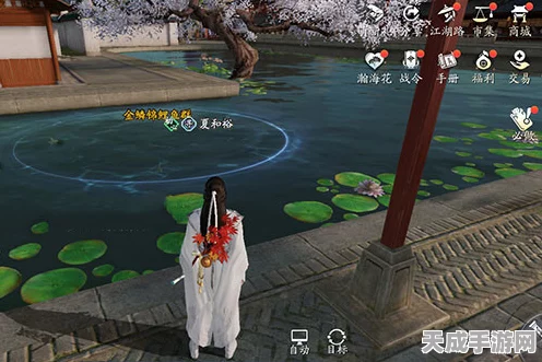 天涯明月刀手游，揭秘锦鲤心海幻境触发条件与通关攻略
