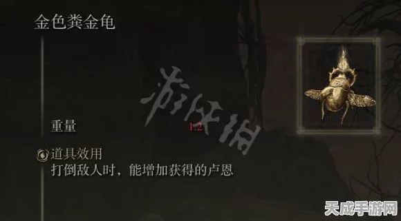 艾尔登法环探秘，金色粪金龟护符获取攻略大揭秘