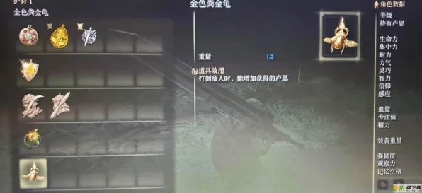 艾尔登法环探秘，金色粪金龟护符获取攻略大揭秘