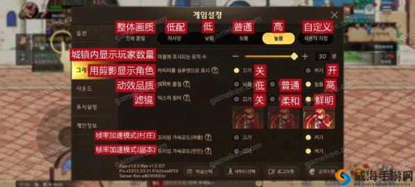 DNF手游韩服畅玩攻略，独家文字翻译技巧大揭秘