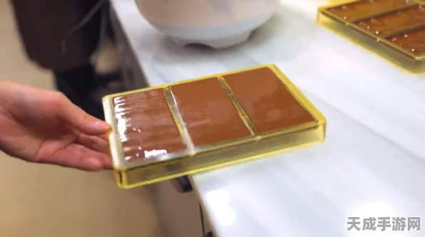 我的世界可可豆获取全攻略，解锁多种途径，打造你的巧克力王国