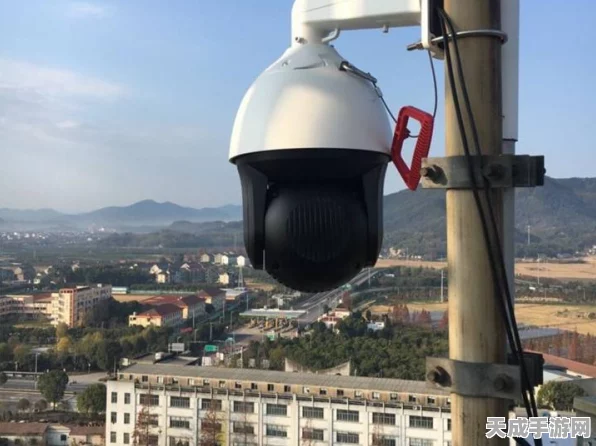 保卫萝卜2攻略揭秘，第114关完美通关技巧大公开
