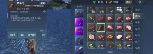 妄想山海探索指南，揭秘慈葱珍稀材料的获取之道