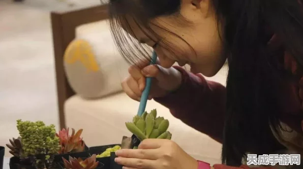黑色沙漠手游，解锁萌宠大军，全宠物获取秘籍大公开！