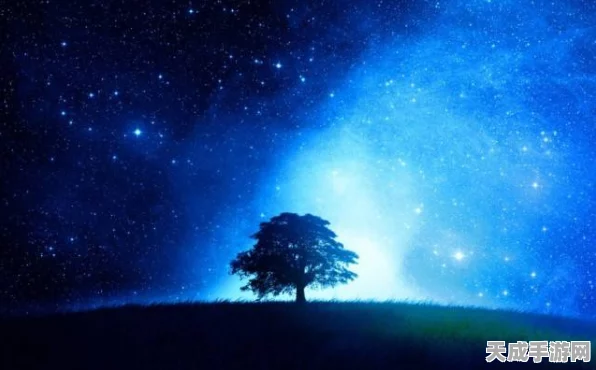 动物森友会星空许愿赛，解锁隐藏惊喜，共享奇妙之夜