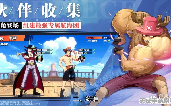 航海王热血航线，解锁伙伴图鉴战力飙升秘籍