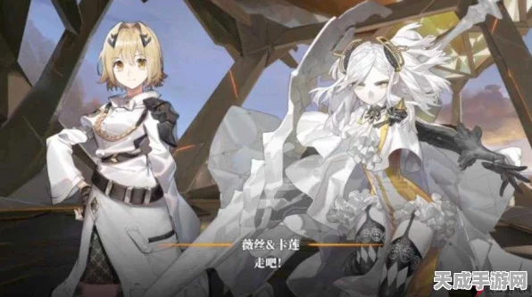 白夜极光深度攻略，揭秘资源管理黑话，掌握策略致胜之道