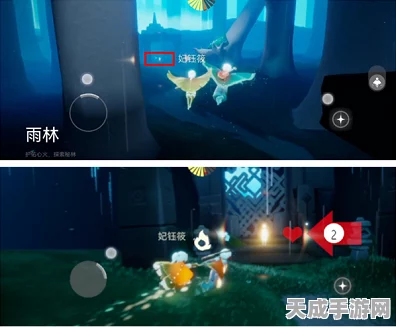 光遇雨林探索，揭秘小金人全位置攻略，助你轻松收集！