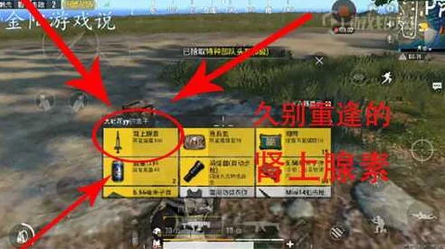 绝地求生刺激战场，肾上腺素全解析，助你战场逆袭！