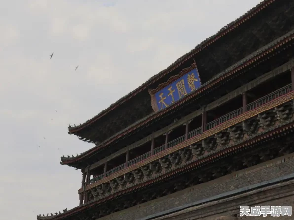 一梦江湖深度探索，揭秘坐观万象神秘之地与最新玩法动态