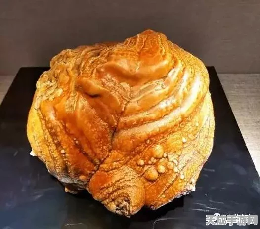 黑色沙漠手游，揭秘小神龟的孩子初稿珍稀获取攻略
