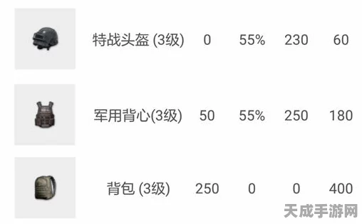 绝地求生全军出击，二级甲图鉴深度解析与实战应用