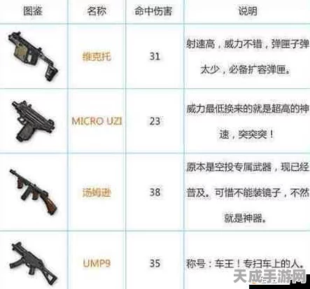 绝地求生枪械王者争霸，解锁你的专属吃鸡神器