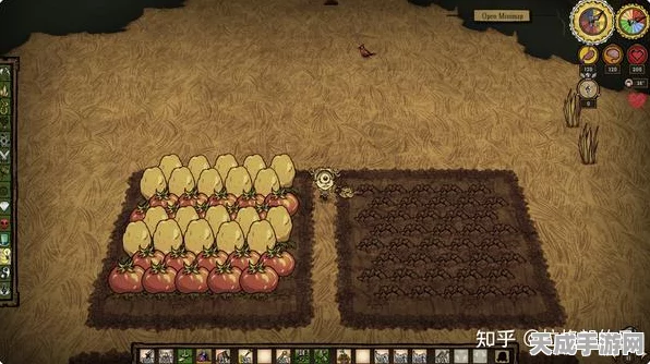 饥荒联机版，揭秘作物生长背后的压力与挑战，助你成为生存大师！