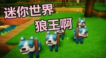 迷你世界劳尔房间密码大揭秘，8042背后的惊喜探险赛