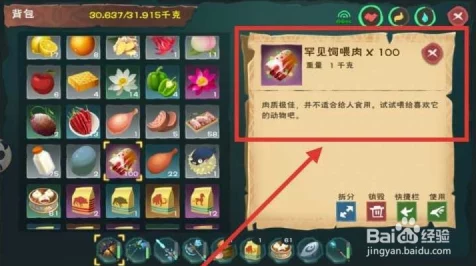 创造与魔法深度攻略，揭秘冰鸟饲料的制作秘籍