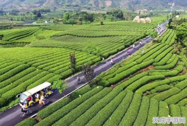 剑网3指尖江湖，揭秘秘境挑战与多人组队副本全攻略