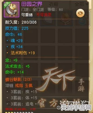 冰心闪耀，战无不胜！天下手游冰心职业装备精选指南