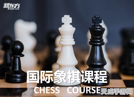 象棋VS国际象棋，棋盘上的智慧较量，规则与策略大揭秘