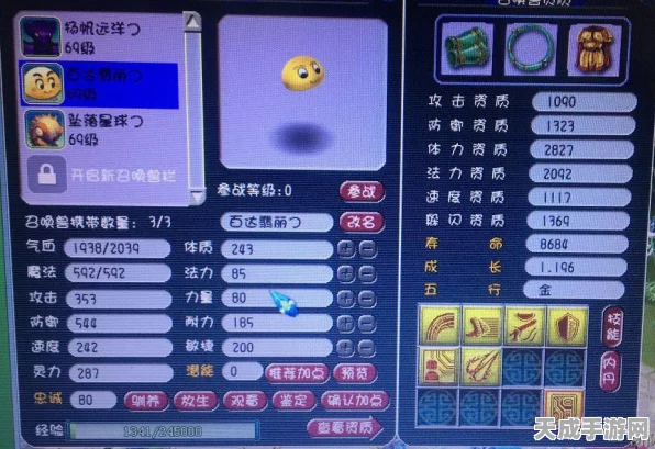 梦幻西游手游，揭秘彩色泡泡宠物获取全攻略，限时活动不容错过！