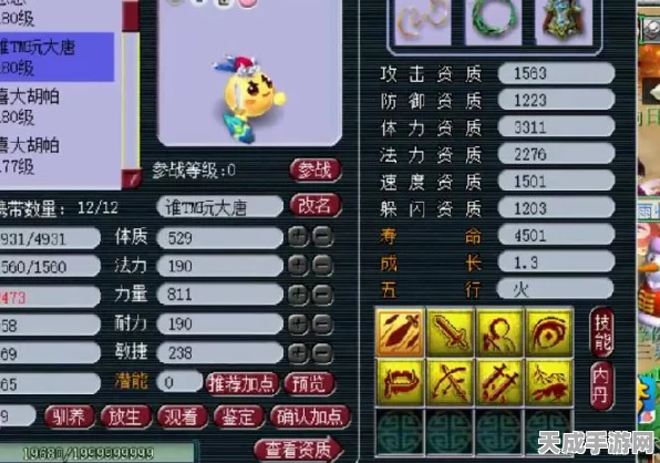 梦幻西游手游，揭秘彩色泡泡宠物获取全攻略，限时活动不容错过！