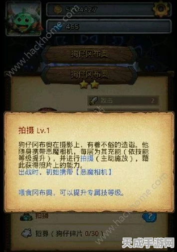 揭秘！不思议迷宫狗仔冈布奥高效速刷阵容搭配与实战技巧