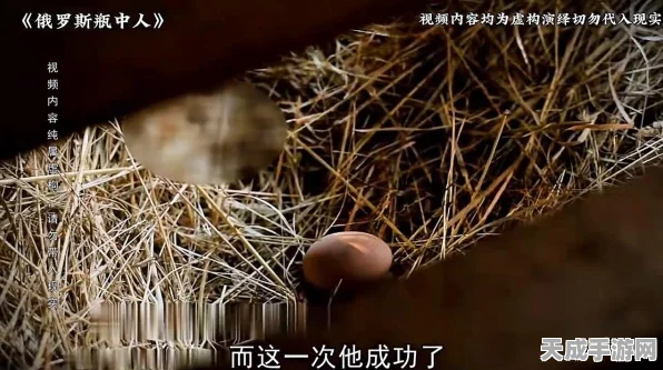 FGO深度解析，冯霍恩海姆——技能属性与实战表现全揭秘
