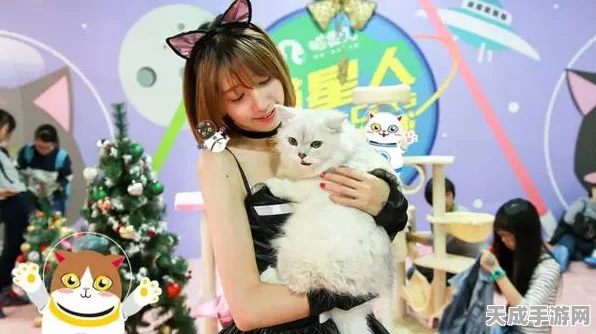 猫之城狂欢，全天候24小时沉浸式吸猫直播大赛即将启幕，萌宠争霸谁主沉浮？