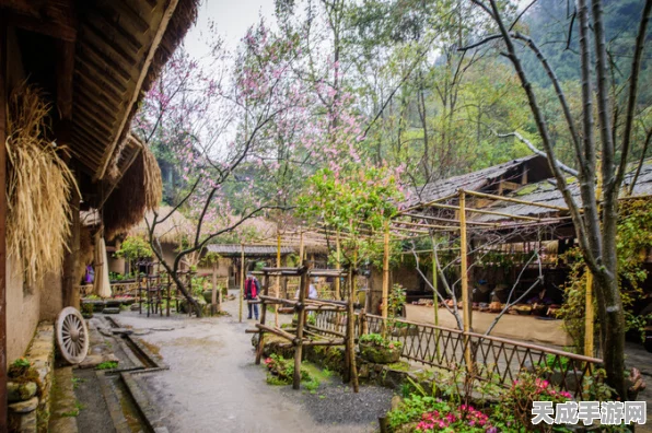 桃源深处有人家，联机畅玩，共筑田园梦——详细联机攻略揭秘