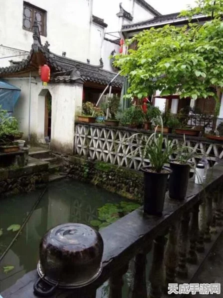 桃源深处有人家，联机畅玩，共筑田园梦——详细联机攻略揭秘