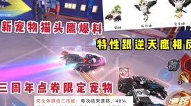QQ飞车手游，独家揭秘！热门捏脸数据大全与最新代码分享